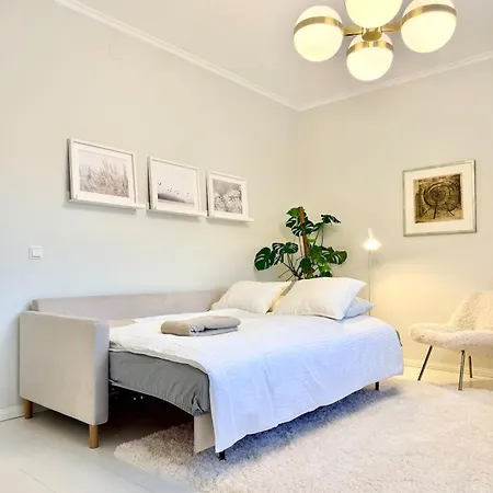 Bright And Beautiful Two-room Design